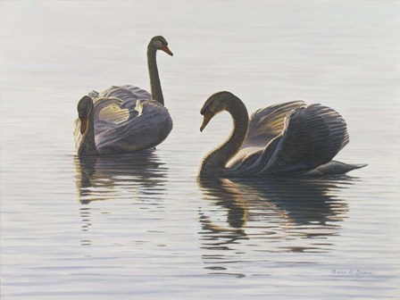 Beauty And Grace by Bruce Dumas art print