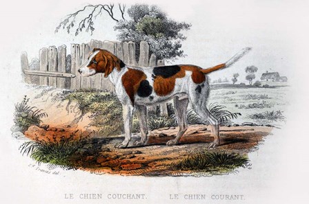 Dog I by Georges-Louis Leclerc, Comte de Buffon art print