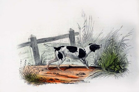 Dog II by Georges-Louis Leclerc, Comte de Buffon art print