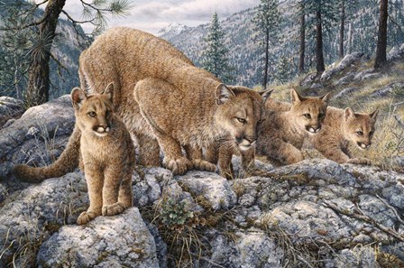 Cat Family by Jeff Tift art print