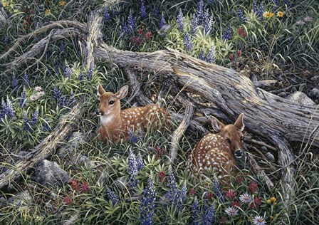 Fawns And Flowers by Jeff Tift art print