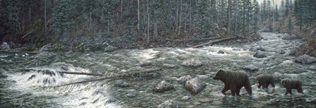 Cool Creek by Jeff Tift art print