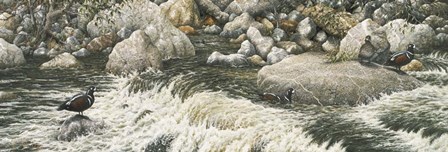 Swift Water by Jeff Tift art print