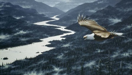 On The Silent Wings Of Freedom by Jeff Tift art print