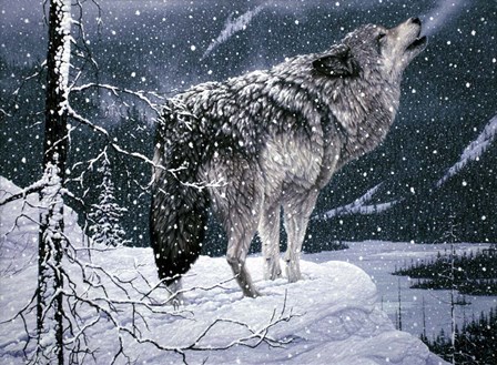 Lone Wolf by Jeff Tift art print