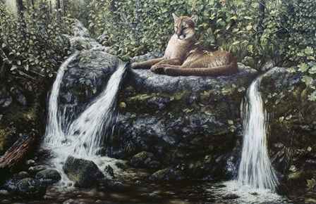 Solitude by Jeff Tift art print