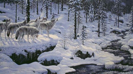 Winter&#39;s Cry by Jeff Tift art print