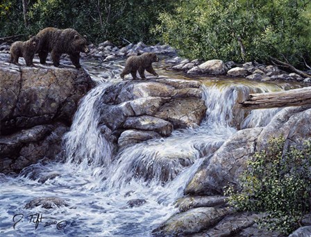 Entiat Falls-Grizzly Family by Jeff Tift art print