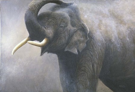 Asian Elephant Dusting by Dr. Jeremy Paul art print
