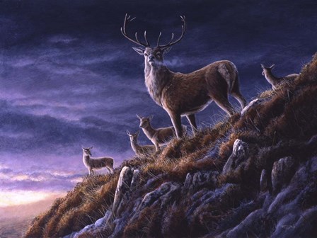 Threatening Sky Red Deer by Dr. Jeremy Paul art print