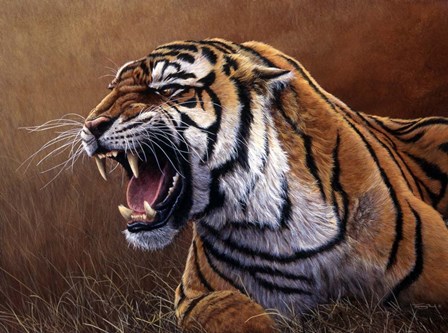 Final Warning by Dr. Jeremy Paul art print