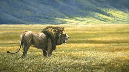 His Domain Lion by Dr. Jeremy Paul art print