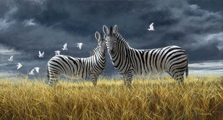 Coming Of Rain Zebra by Dr. Jeremy Paul art print