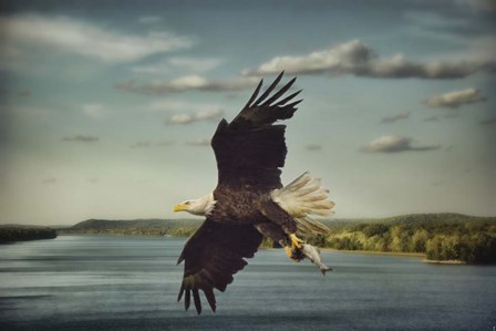 Catch Of The Day by Jai Johnson art print