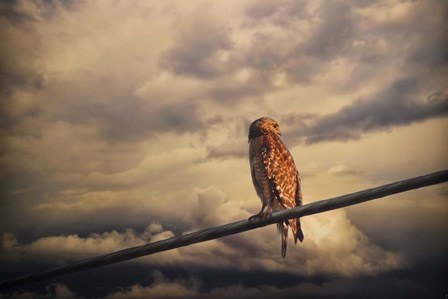 End Of The Day by Jai Johnson art print