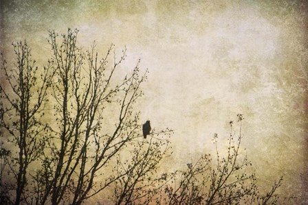 Greeting The Sun by Jai Johnson art print