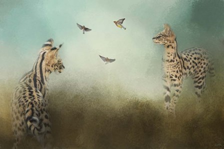 Watching The Waxwings by Jai Johnson art print