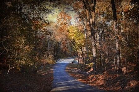 Autumn Stage by Jai Johnson art print