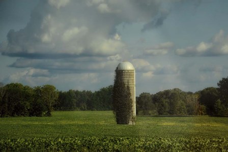 Country Beacon by Jai Johnson art print