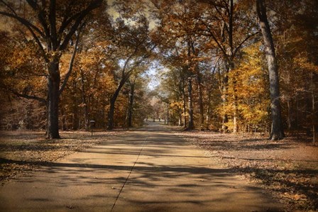 Open For Beauty by Jai Johnson art print