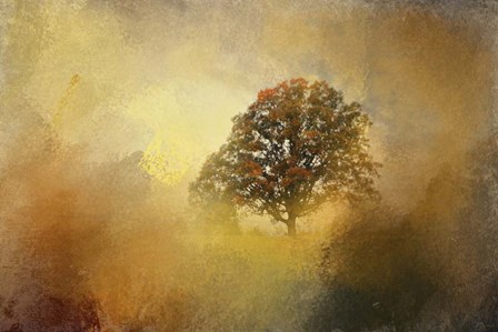 Splendor by Jai Johnson art print