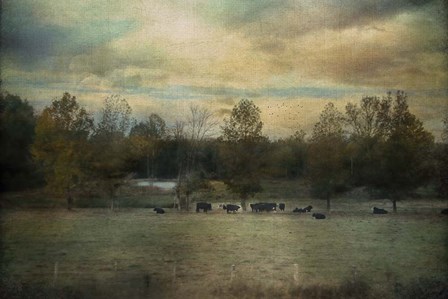 Sunrise On The Farm by Jai Johnson art print