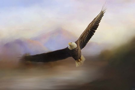 Eagle At The Mountain by Jai Johnson art print