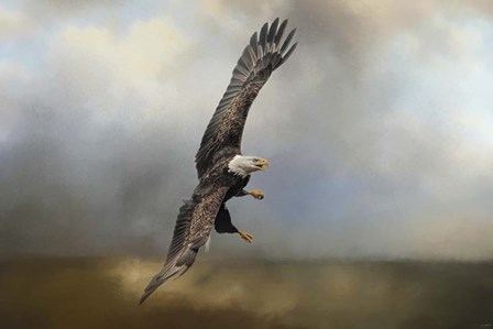 Up Against The Stormy Sea Bald Eagle by Jai Johnson art print