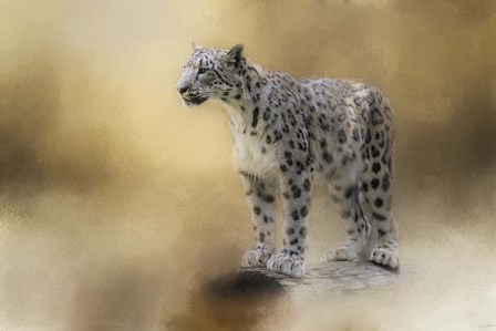 Snow Leopard by Jai Johnson art print