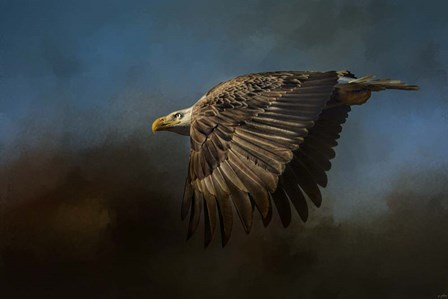 Storm Chaser Bald Eagle by Jai Johnson art print