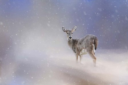Doe In The Snow by Jai Johnson art print