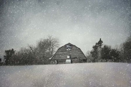 Snowing At The Old Barn by Jai Johnson art print