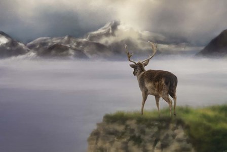 Mountains Out Of Reach by Jai Johnson art print