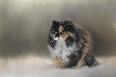 Winter Journey by Jai Johnson art print