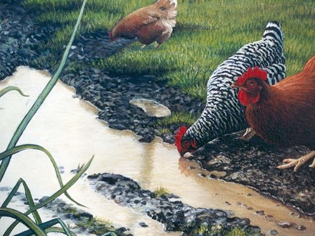 Reflections of Spring by Kevin Dodds art print