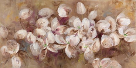 Opening Tulips by Li Bo art print
