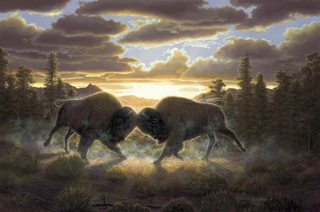Buffalo by R.W. Hedge art print