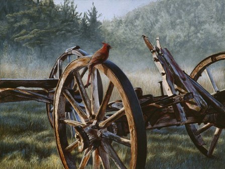 Bird's Eye View by Rusty Frentner art print