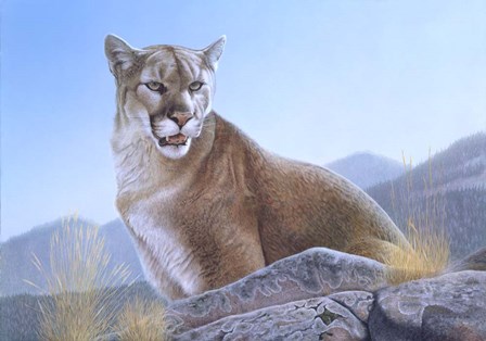 Mountain King by Rusty Frentner art print