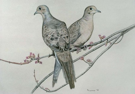 Two Birds On Branch by Rusty Frentner art print
