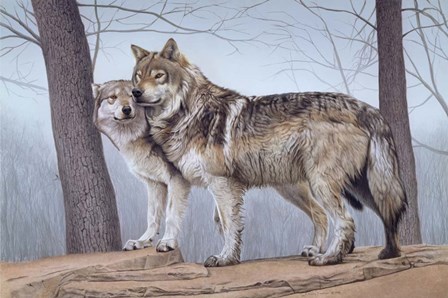 Two Wolves by Rusty Frentner art print