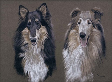 Dog  Seven by Rusty Frentner art print