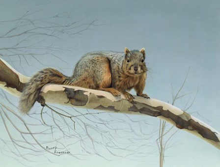 Are You Nuts by Rusty Frentner art print