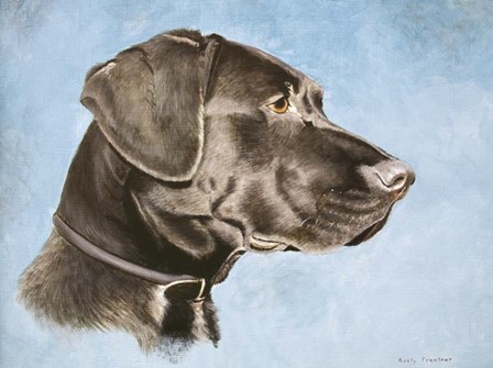 Chocolate Lab by Rusty Frentner art print