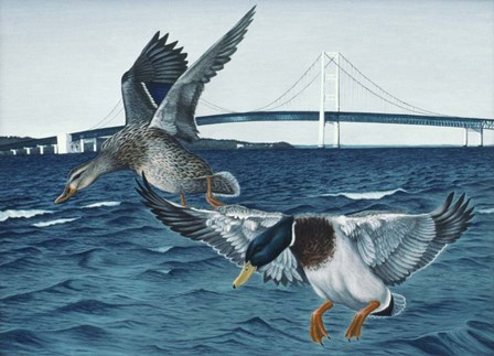 Mackinac Mallards by Rusty Frentner art print