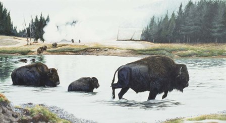 Spirit Of Yellowstone by Rusty Frentner art print