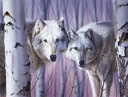 White Wolves By Birch by Rusty Frentner art print