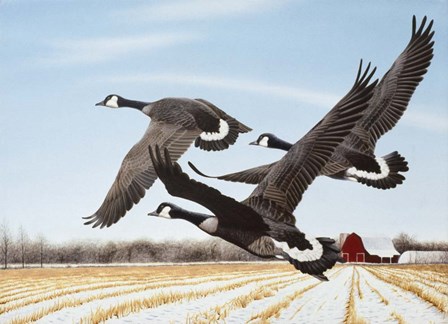 Mississippi Migrants by Rusty Frentner art print