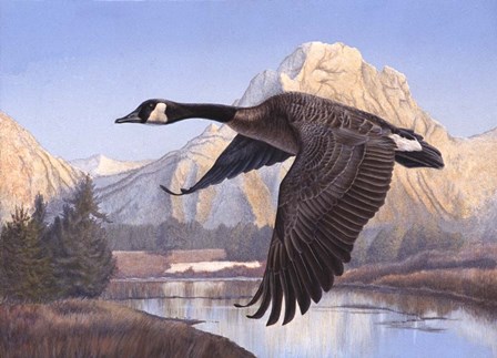 Goose Mtn by Rusty Frentner art print