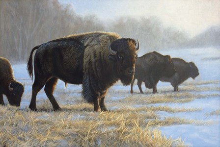 Spirit Keeper by Rusty Frentner art print